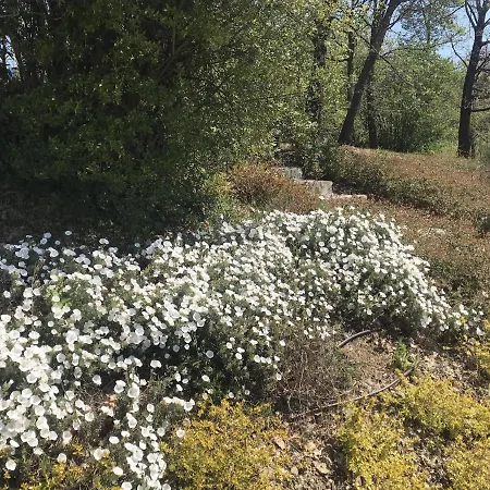 Casa Lucchese Al Borghetto Collodi