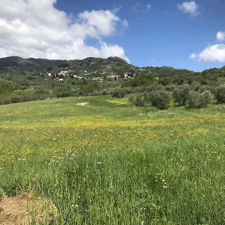 Casa Lucchese Al Borghetto